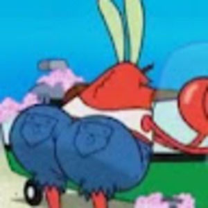 Meet your Posher, Piper